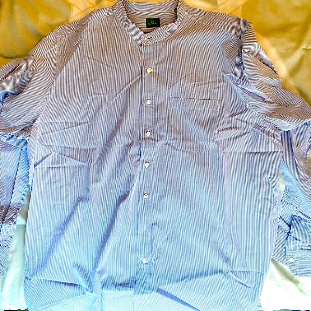 Cotton shirt in blue stripe